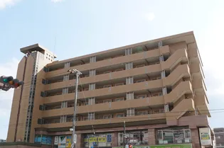 サニーウェル仲村の画像