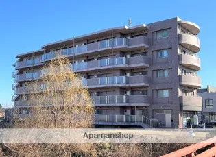 アミリスの画像