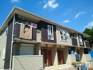 ドリーム ブラッサム Vの画像