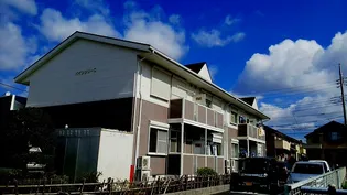 パインツリーCの画像