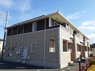 プラシードBの画像