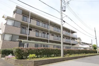 セトオーズの画像