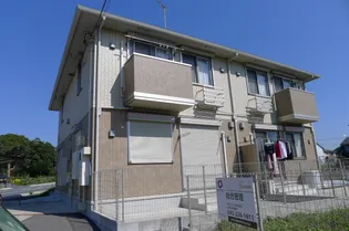 イルミナの画像