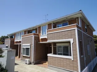 チェリー ブロッサムAの画像