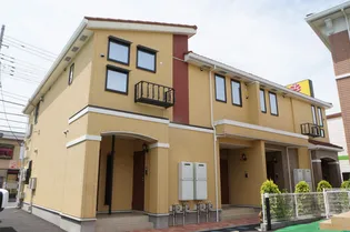 M'S ユーカリの画像