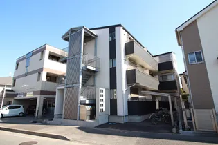 GRACE HILLSの画像