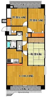 COZY緑が丘【1階】の間取り