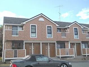 シャルマンDの画像