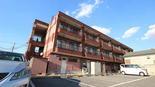 ファーストメゾンの画像