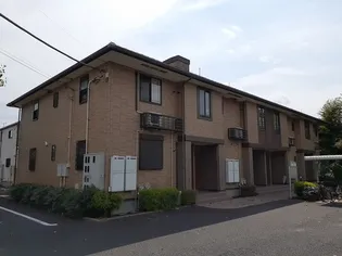 プラティ コドンIIの画像