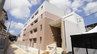 プリムローズ51の画像