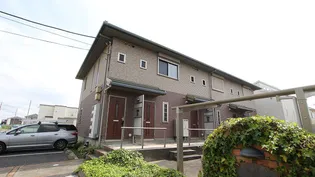 TETTI VERDI Ⅰの画像