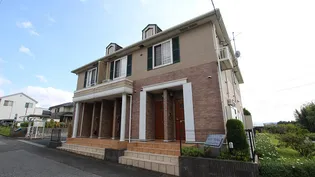 シュード コリーヌの画像