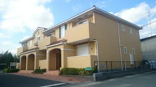 プラティ コドンIの画像