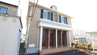 プリムラの画像