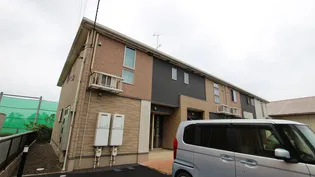 プリムローズBの画像