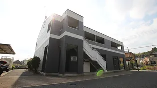 ドルチェの画像