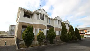 FORESTーCKの画像