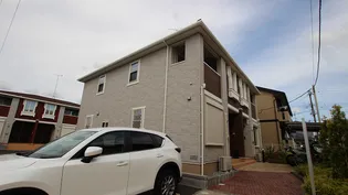 プリムラAの画像