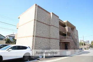 サンライトの画像