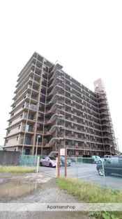 メヌエット81の画像