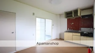 レピュート豊国【1階】のキッチン