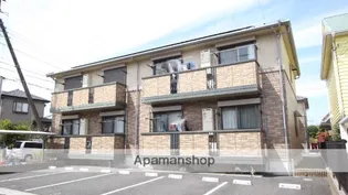 パーシモンAの画像