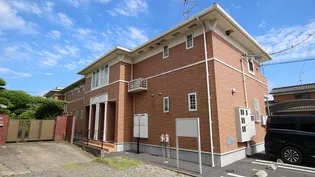 プリムラの画像