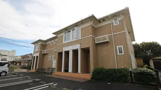 スプリング サンの画像