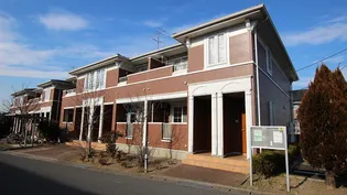 アヴニール XIIの画像