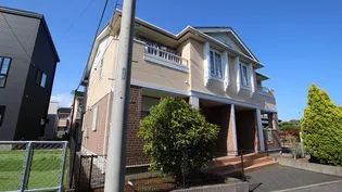 コモディダ Dの画像