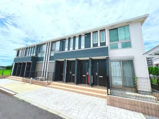 ツー ヒル ライブの画像