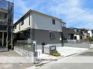 オリーブの木の画像