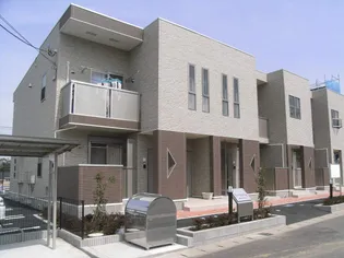 エヴァーグリーンの画像