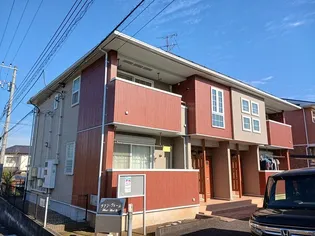 ヴァン ヴェールBの画像