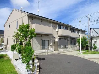 ローズマリーの画像