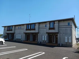 アリエル ヴィオラCの画像