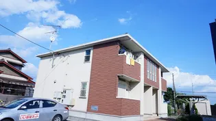 ベル プリムラの画像