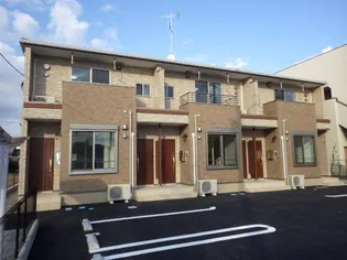 シャインの画像