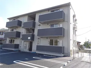 エーデルワイスの画像