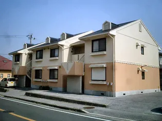 千葉県君津市南子安5丁目【アパート】の外観