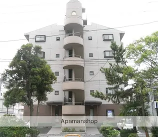 ベリング アイの画像