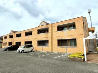 ソレイユ イワネの画像