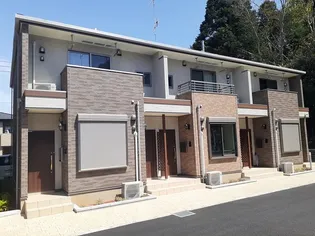 サンヴェール 蔵波 3【101号室】の外観