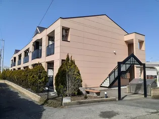 バンベール文京の画像