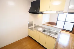 レジデンス SASOU【301号室】のキッチン