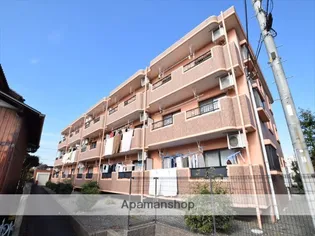 プリマベーラⅢの画像