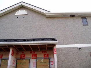 アン ミュールの画像