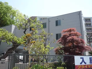 ジャスティスの画像