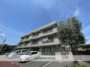 MSコーポの画像